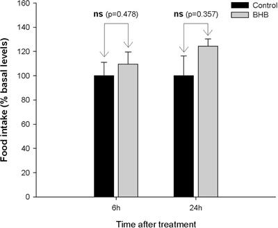 Central Treatment of Ketone Body in Rainbow Trout Alters Liver Metabolism Without Apparently Altering the Regulation of Food Intake